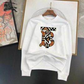 Picture of Burberry Sweatshirts _SKUBurberryM-3XL25tn0324819